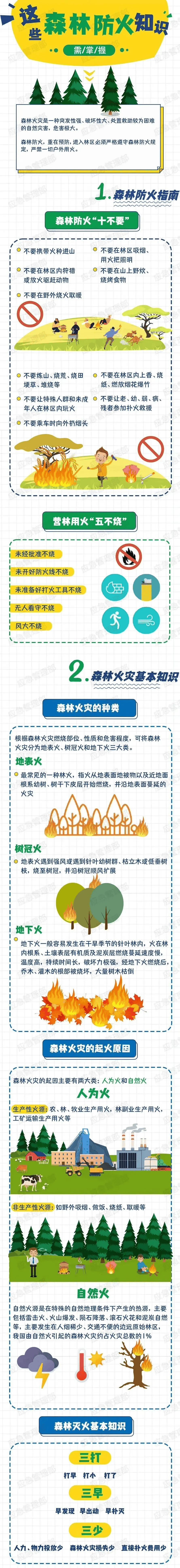 手机版森林如何操作地图森林地图位置详细图高清版