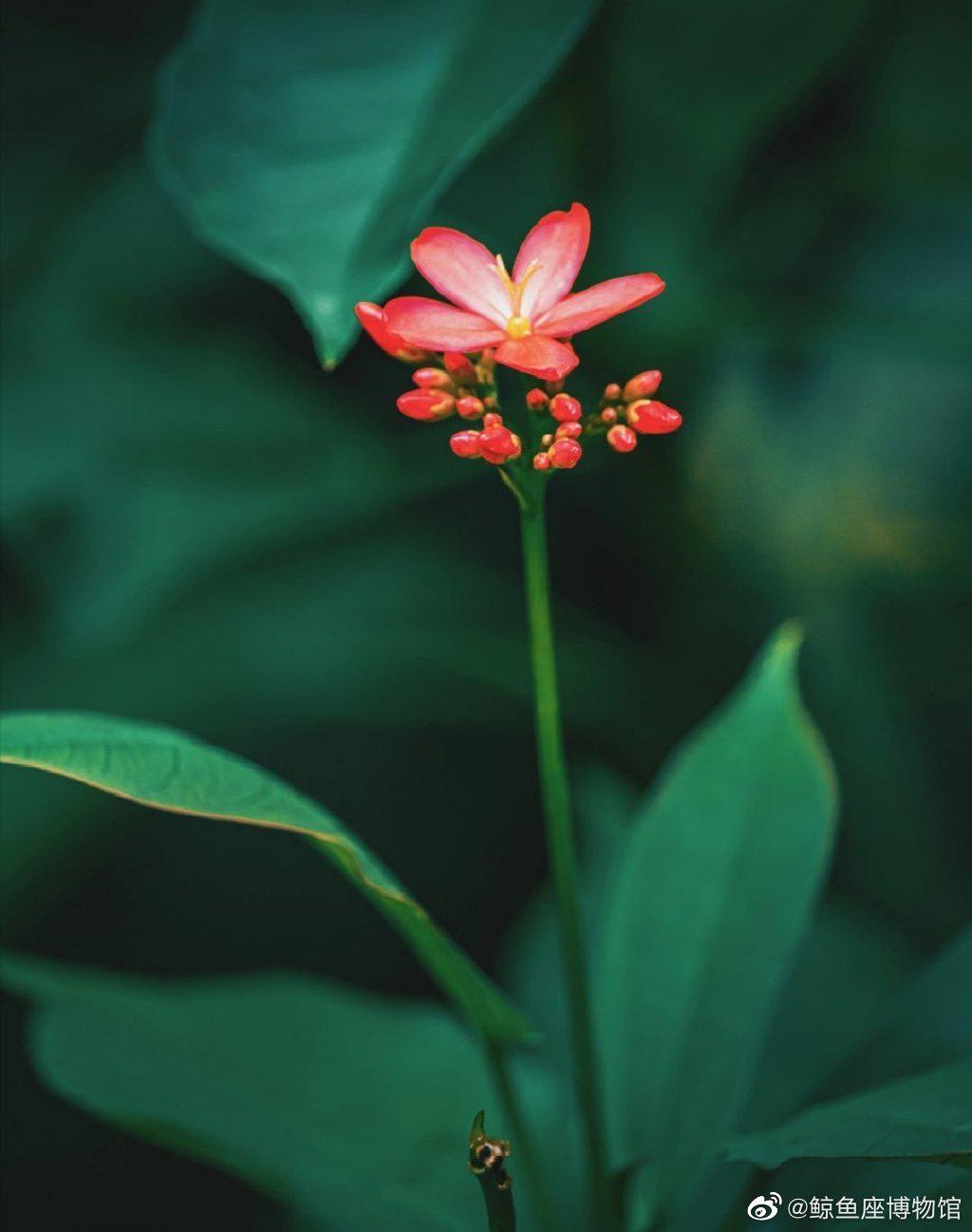 嘀嘀花苹果版滴滴车主司机端下载苹果版-第1张图片-太平洋在线下载