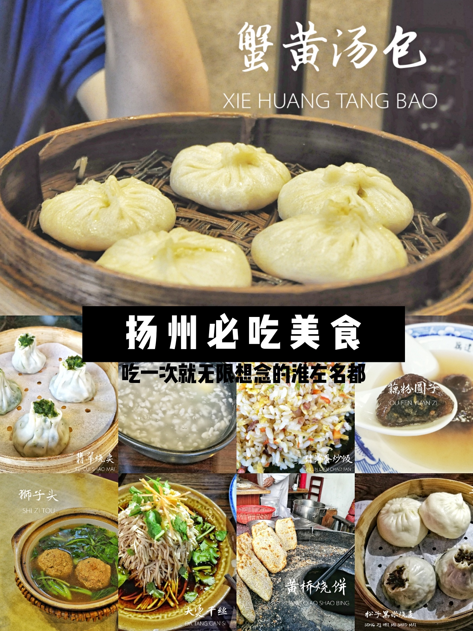 无限扬州安卓版浏览器打开app-第1张图片-太平洋在线下载