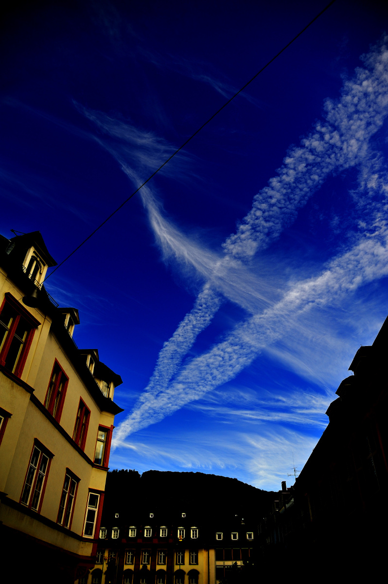 2144手机版(2144手游下载)-第5张图片-QuickQ官网