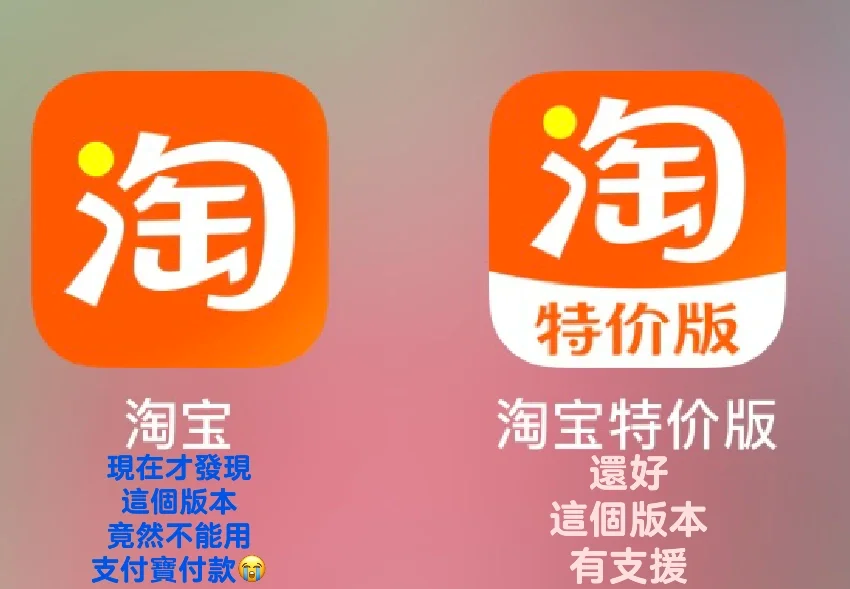 淘宝特价版下载苹果版(淘宝特价版下载苹果版安装)-第4张图片-QuickQ官网