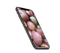 快乐水果狸手机版下载(被称为快乐水果的是什么)-第4张图片-QuickQ官网