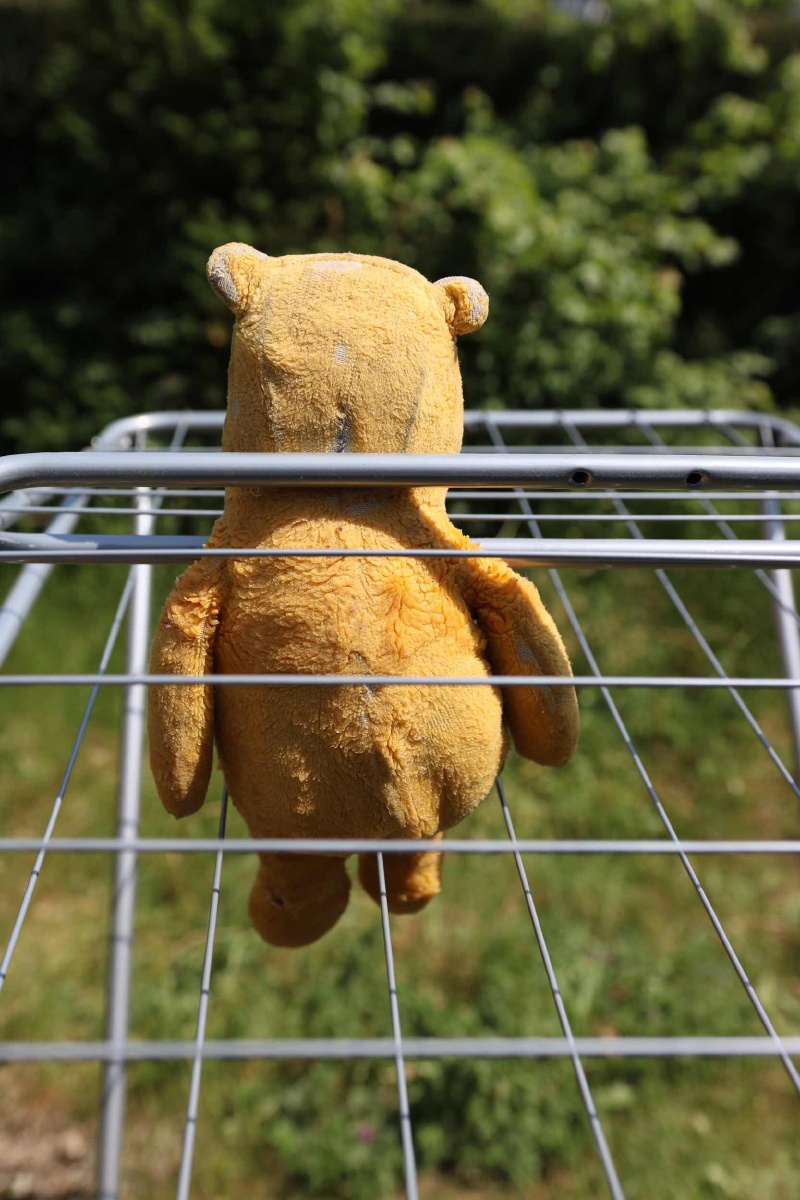 熊族有手机版么(玩具熊手机版在哪下)