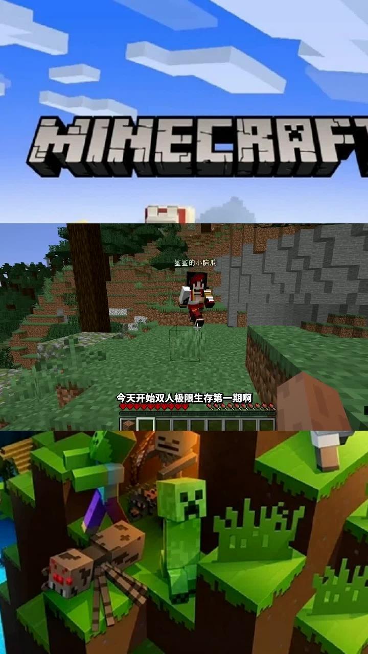 手机版极限生存怎么开始(极限模式生存)-第4张图片-QuickQ官网